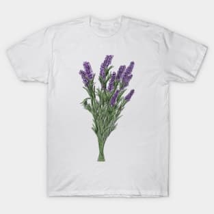 Lavendar plant T-Shirt